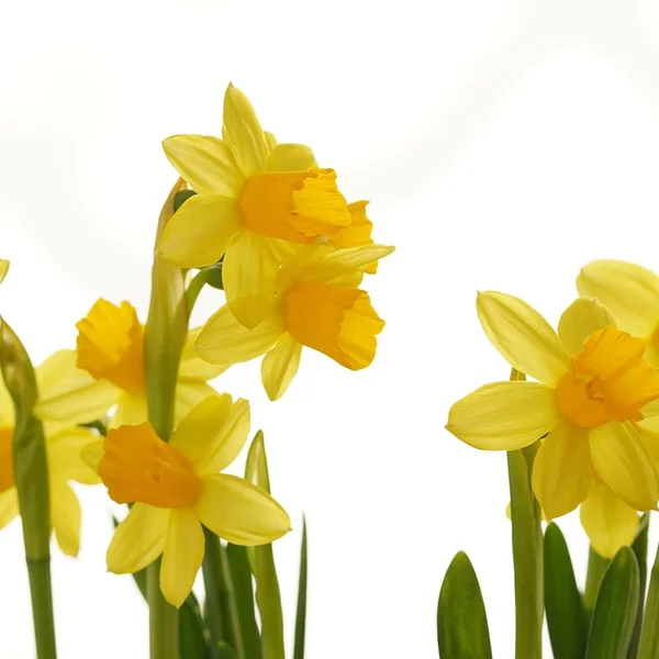 网络赌博棋牌游戏